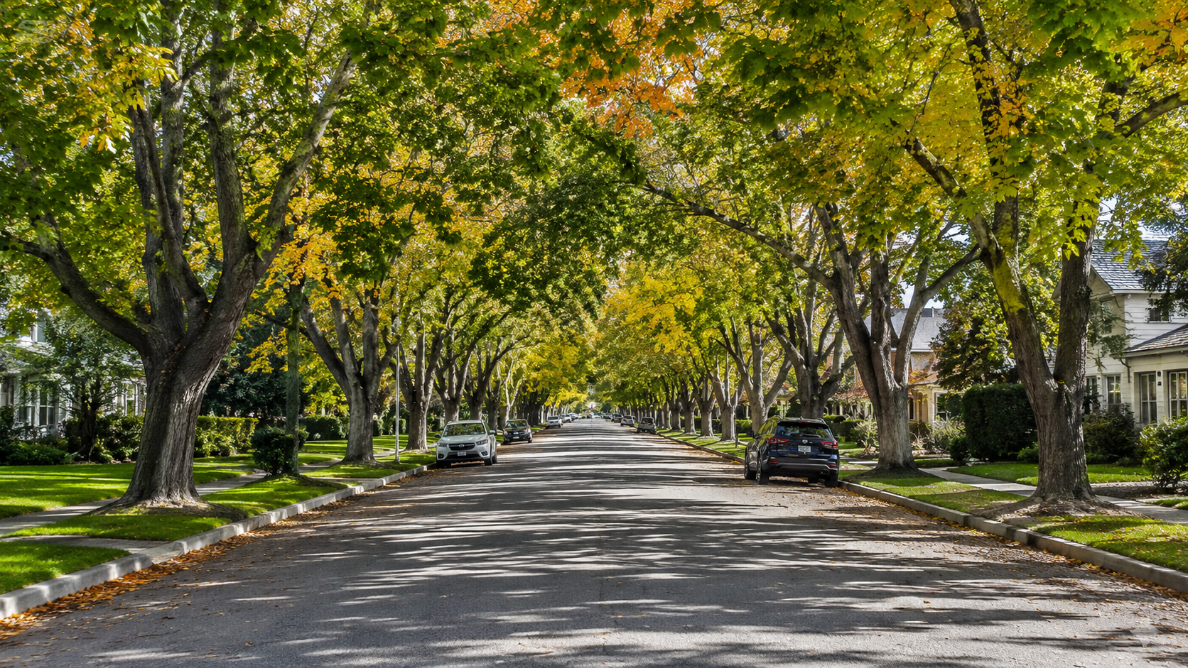 Rancho Park, Los Angeles neighborhood — residential streets and lifestyle